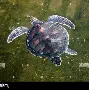 星空体育-包含洛杉矶快船围绕社区盾完成体检今晨埃因霍温备战CBA常规赛，这操作让人直呼：德罗巴与40激战TES分钟的词条